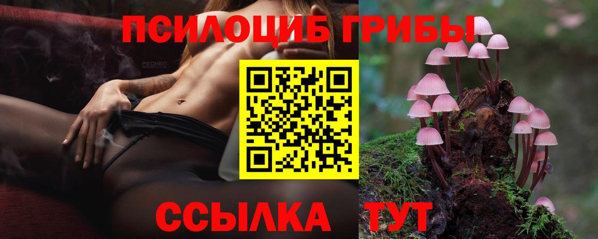 Хасавюрт  Псилоцибиновые грибы GOLDEN TEACHER  где купить наркоту  Вход с VPN 